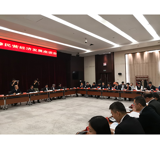全國人大代表、方大集團董事長熊建明參加檢察機關服務保障民營經濟發展調研座談會