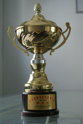 2017.02.09.江蘇省建筑裝飾優(yōu)質工程